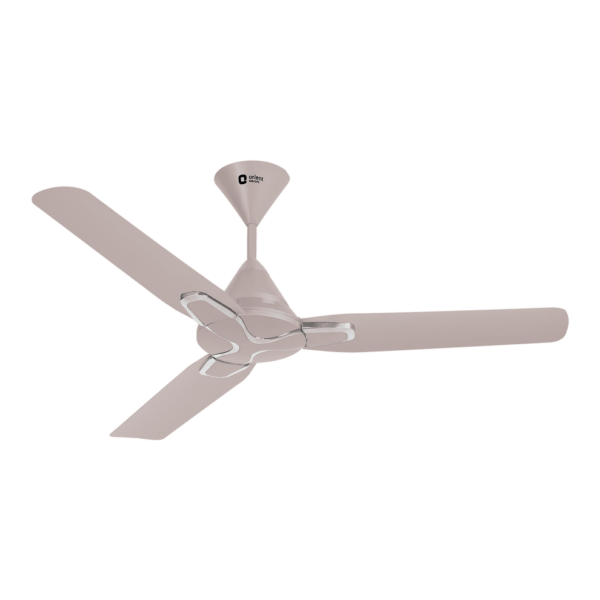 Orient Jazz Decorative Ceiling Fan