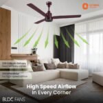 Orient Electric Ujala Prime 5 Star 1200 mm BLDC Motor with Remote 3 Blade Ceiling Fan  (Brown, Pack of 1) - Image 2