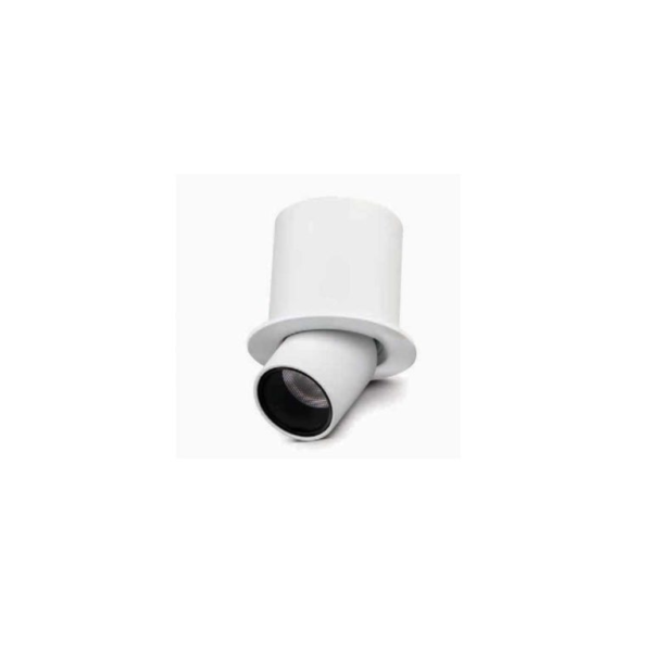 Philips Flex Focus Spot Light
